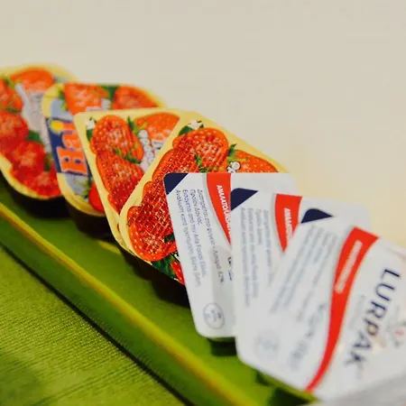 Dom wakacyjny The House Of Margarita *