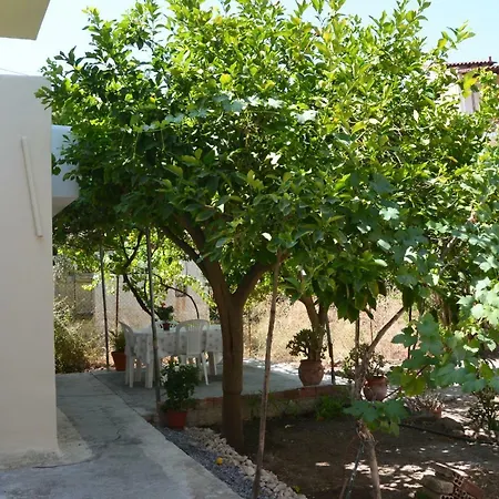 The House Of Margarita Anabolu